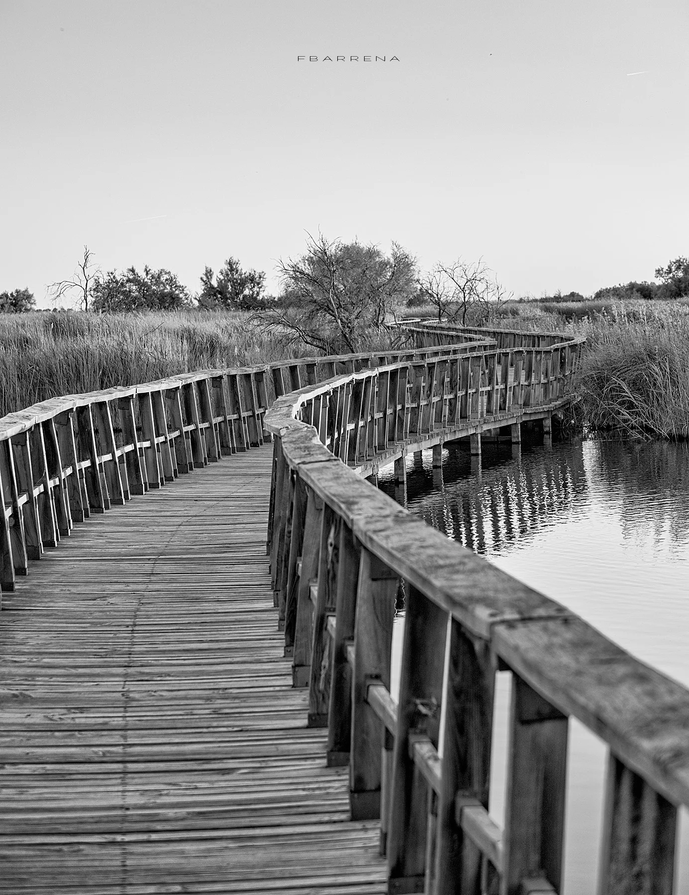 TABLAS DAIMIEL 2.jpg