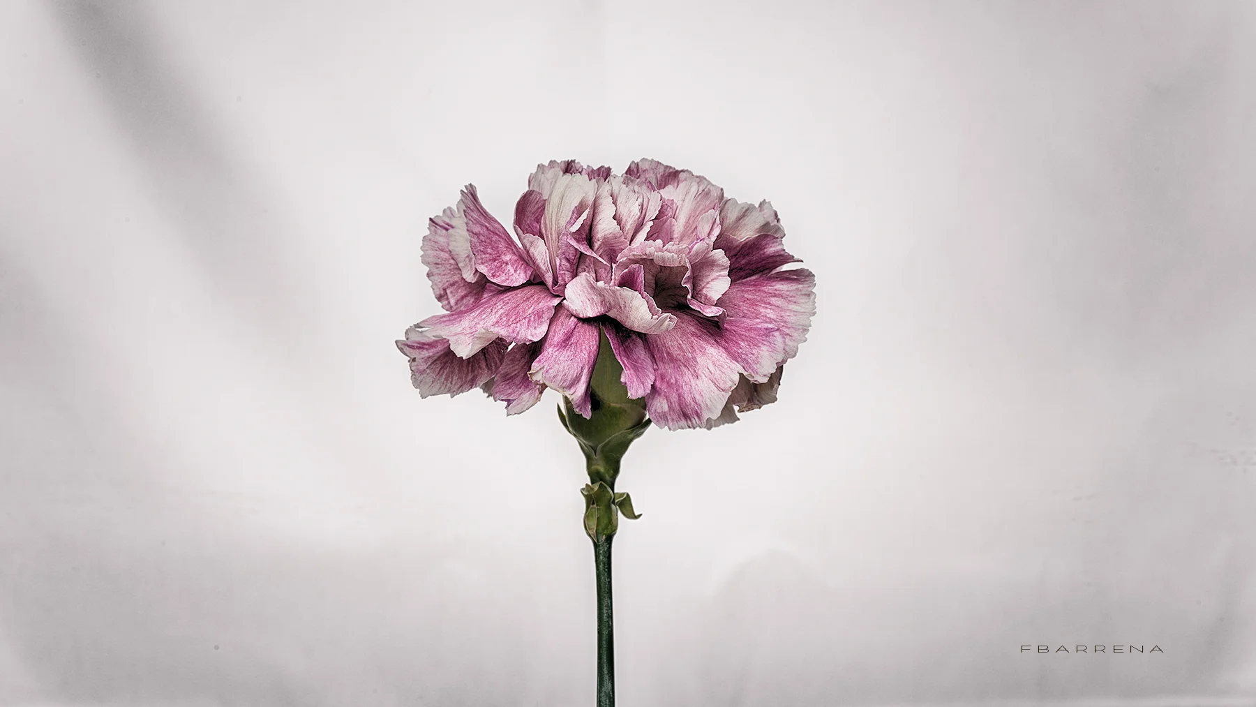 CLAVEL vintage.jpg