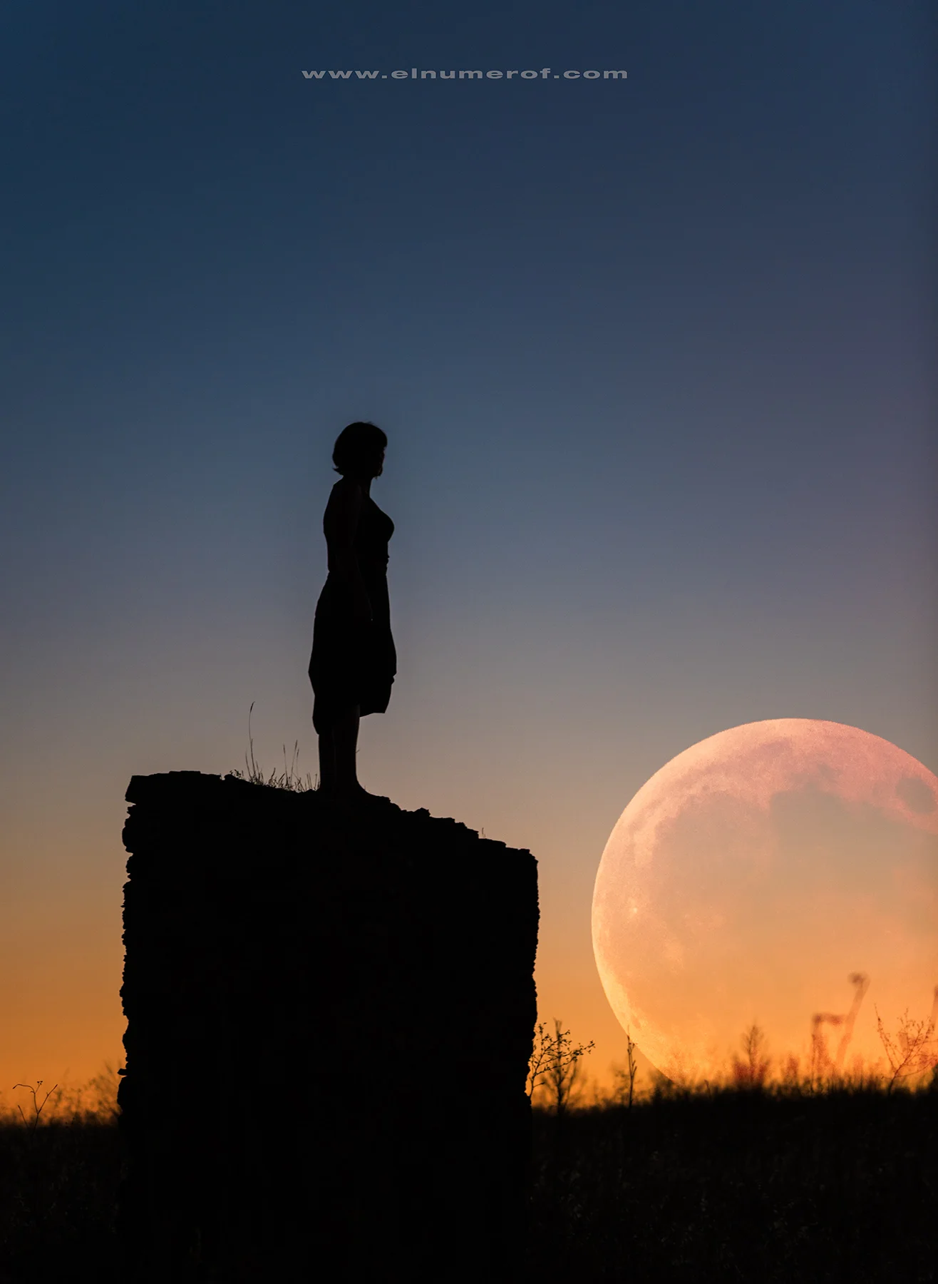 MIRANDO A LA LUNA.jpg