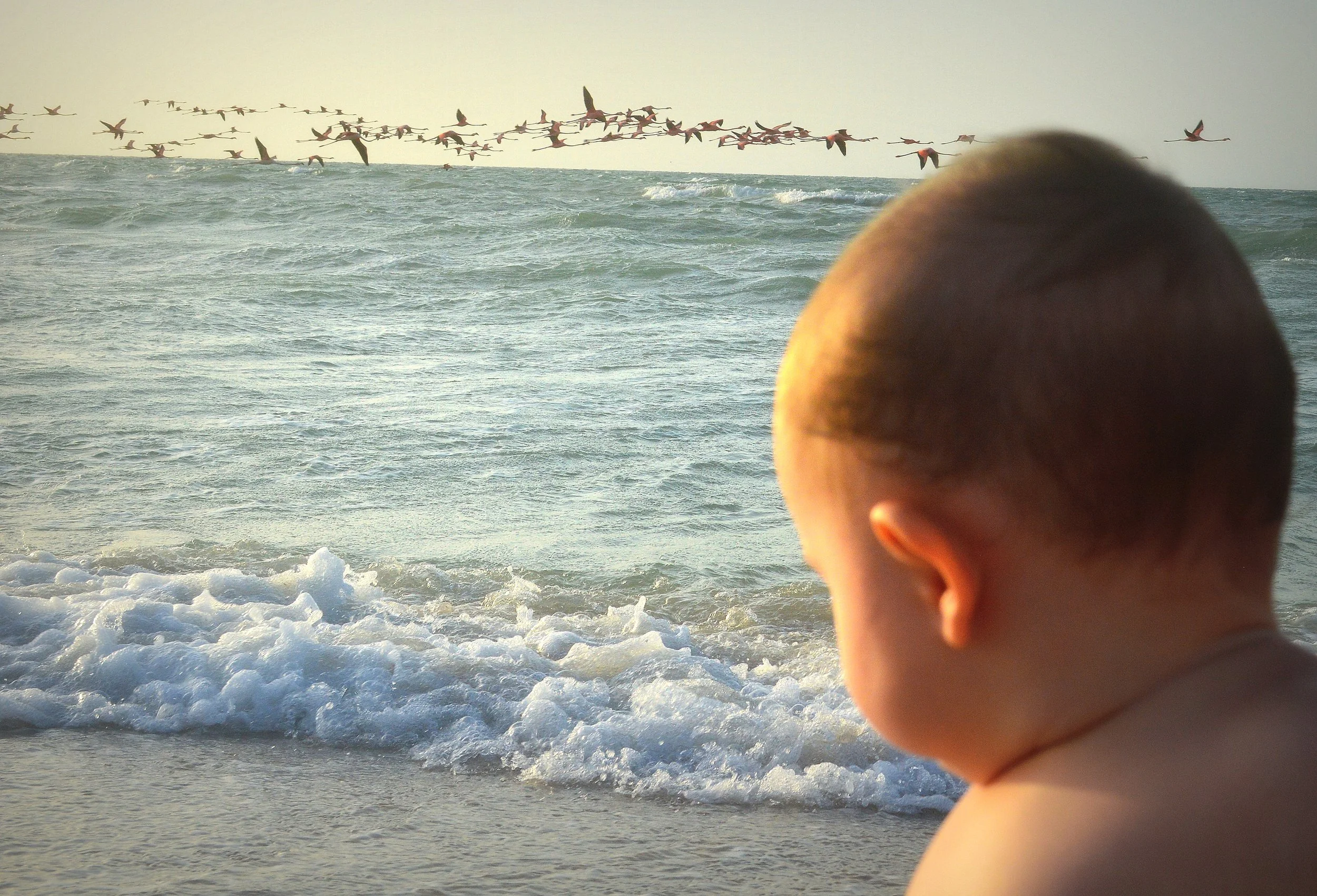 Baby playing in the waves on a Tulum beach — English-speaking vacation babysitter in Tulum