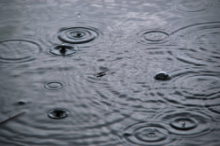Rain.png