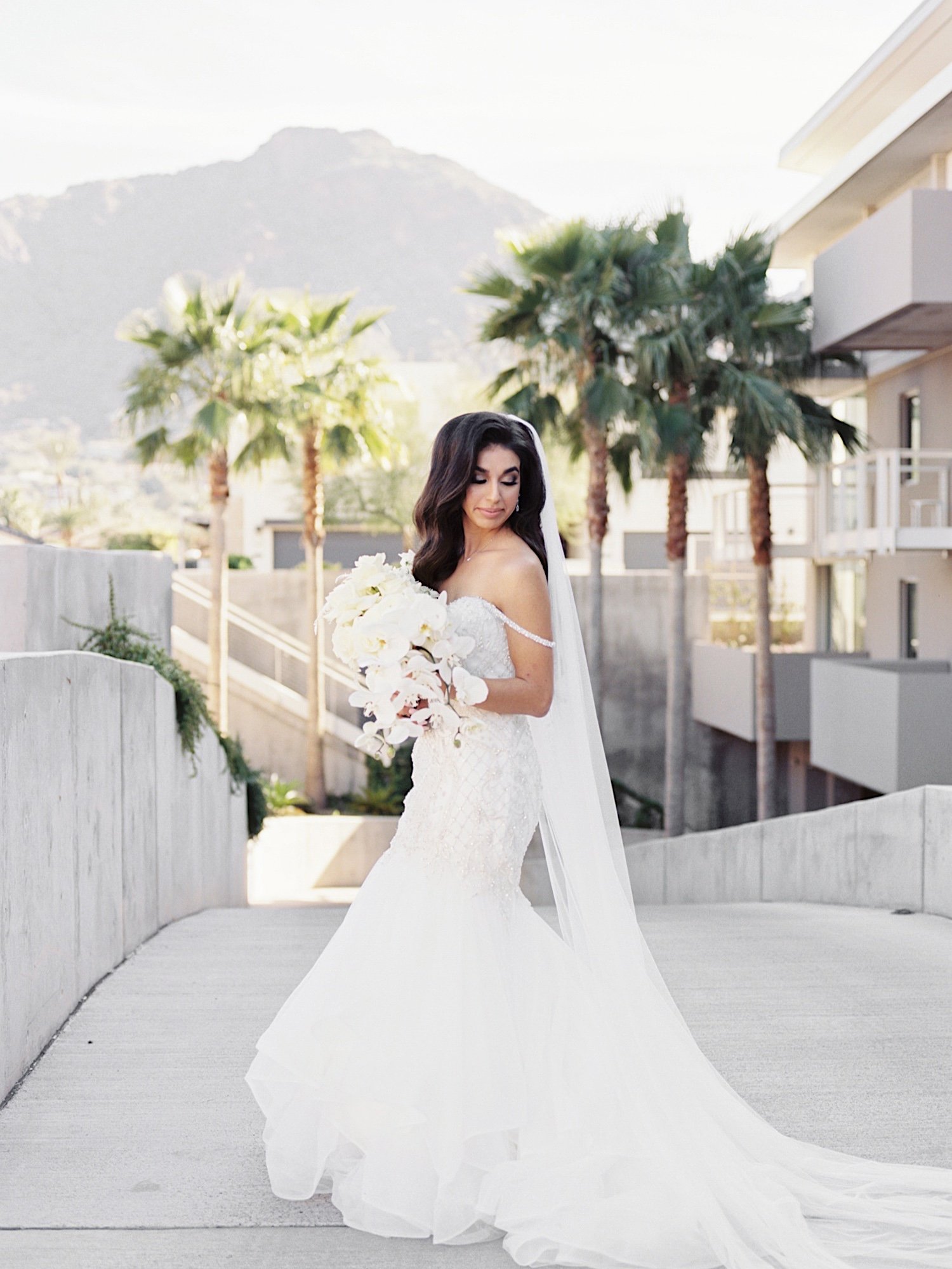 Glamorous Black Tie Mountain Shadows Arizona Wedding Saje Photography - 17.jpg