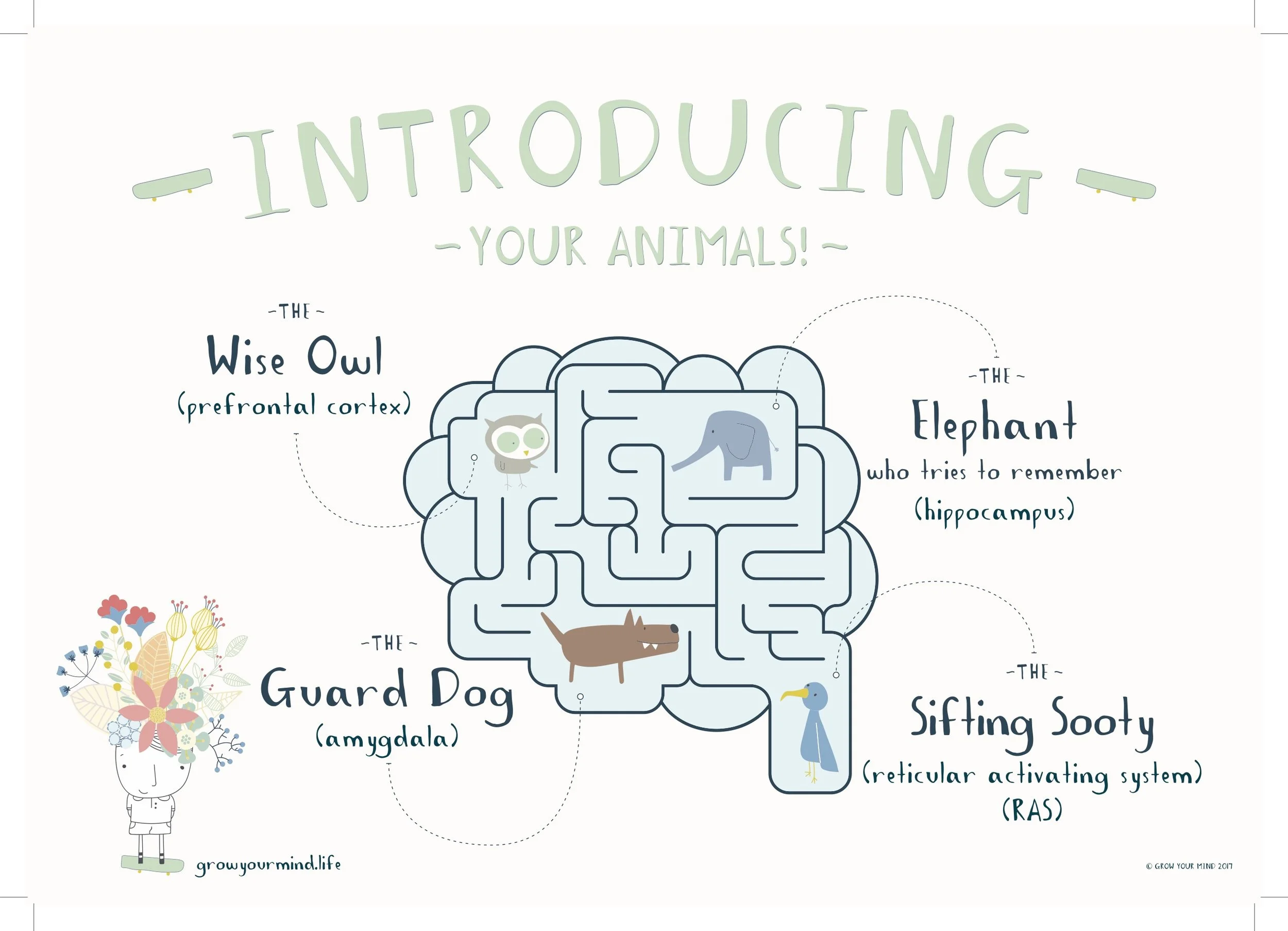 The Brain Poster - Grow Your Mind