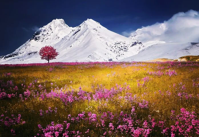 alps-757731__480.jpg