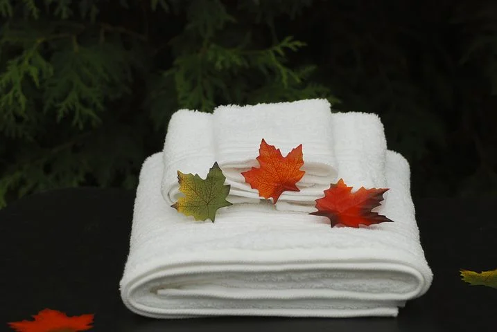 spa-1800394__480.jpg