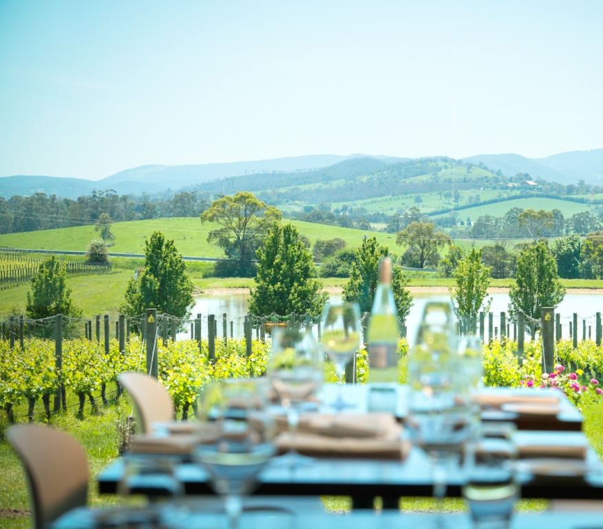 Oakridge-Winery-Views-Coldstream-Yarra-Valley.jpeg