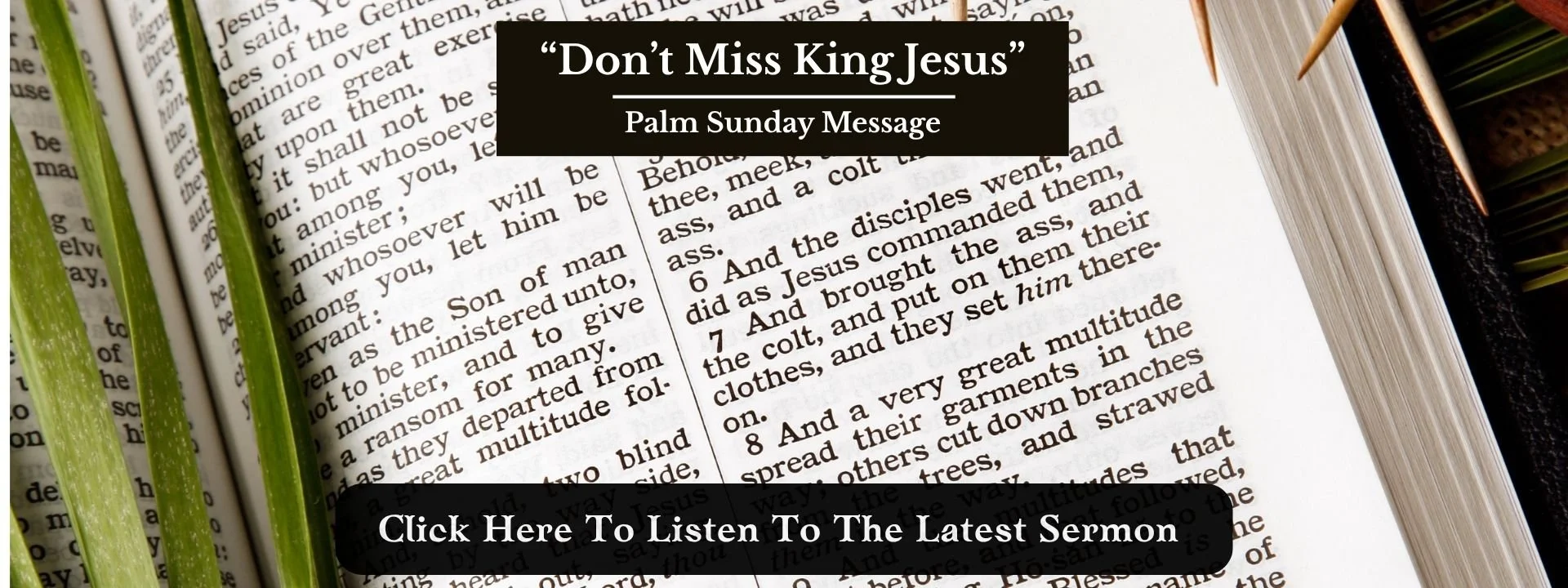 Webpage sermon graphic (1920 × 720 px) (3).jpg