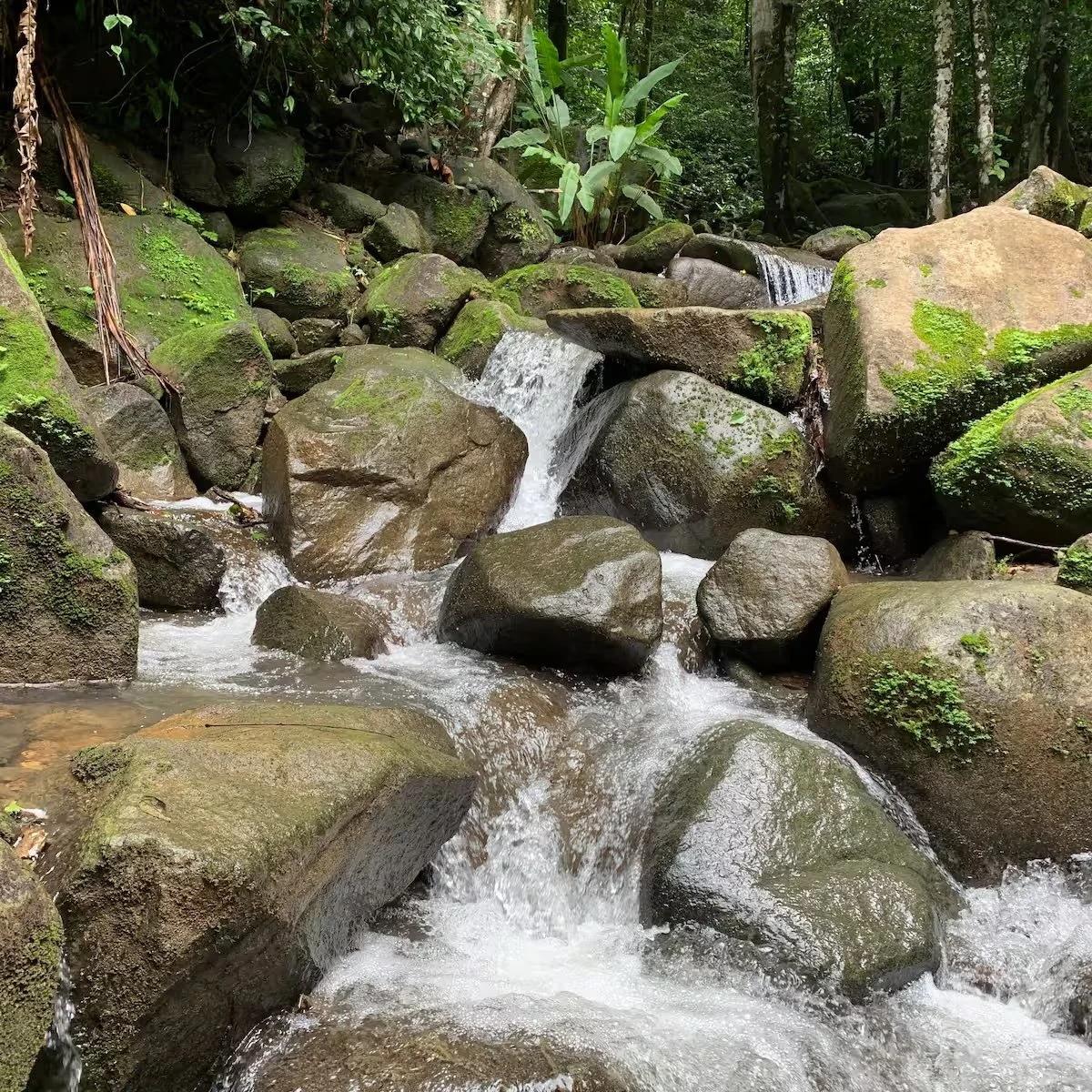 costa rica waterfall.jpeg