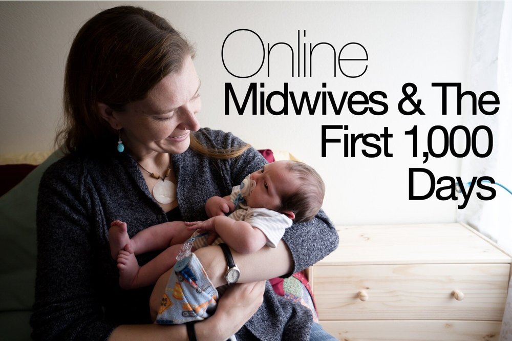 Online Midwives & The First 1,000 Days — Mercy In Action College of