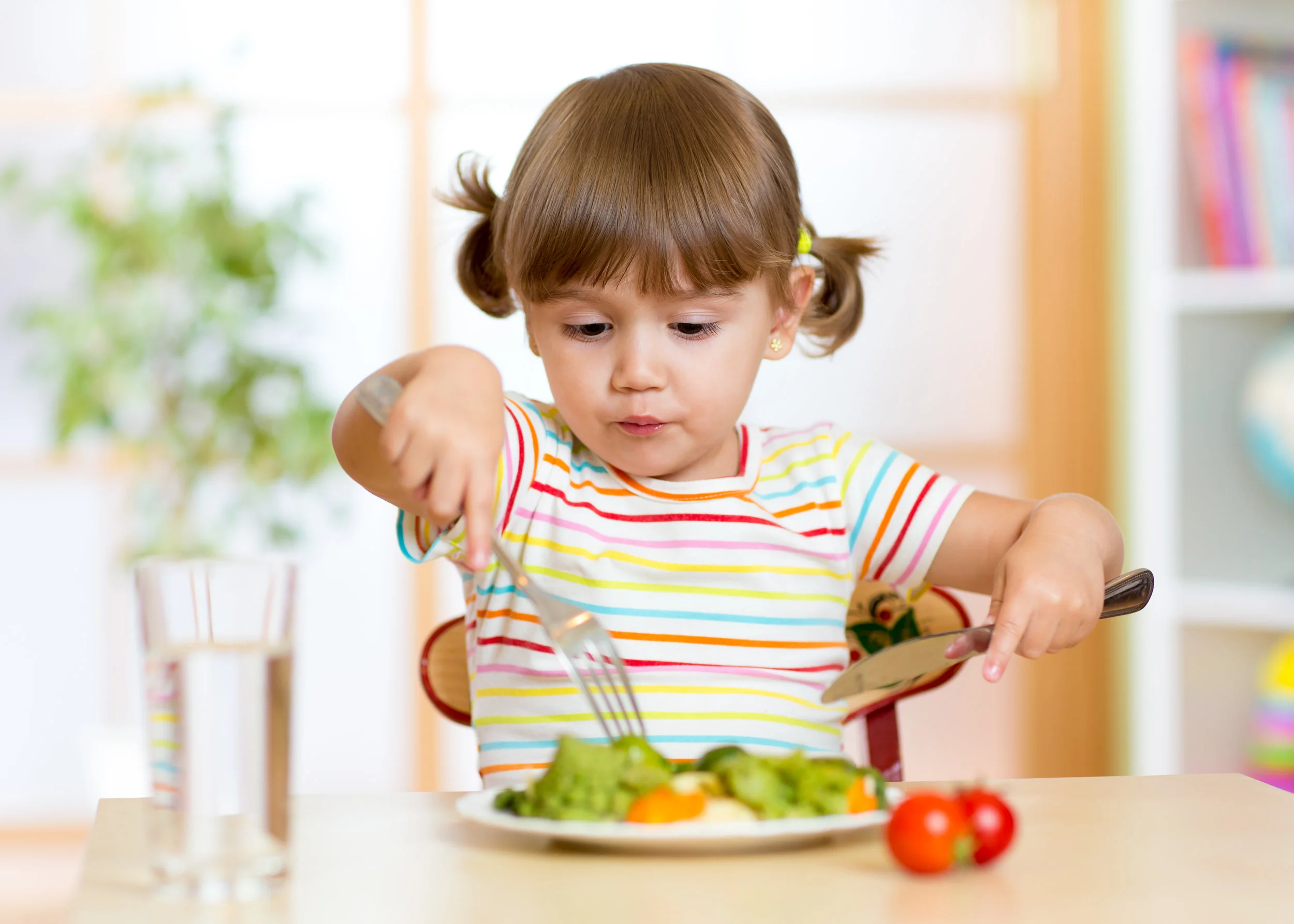 Feeding Schedule for Toddler - Nutrition Guide