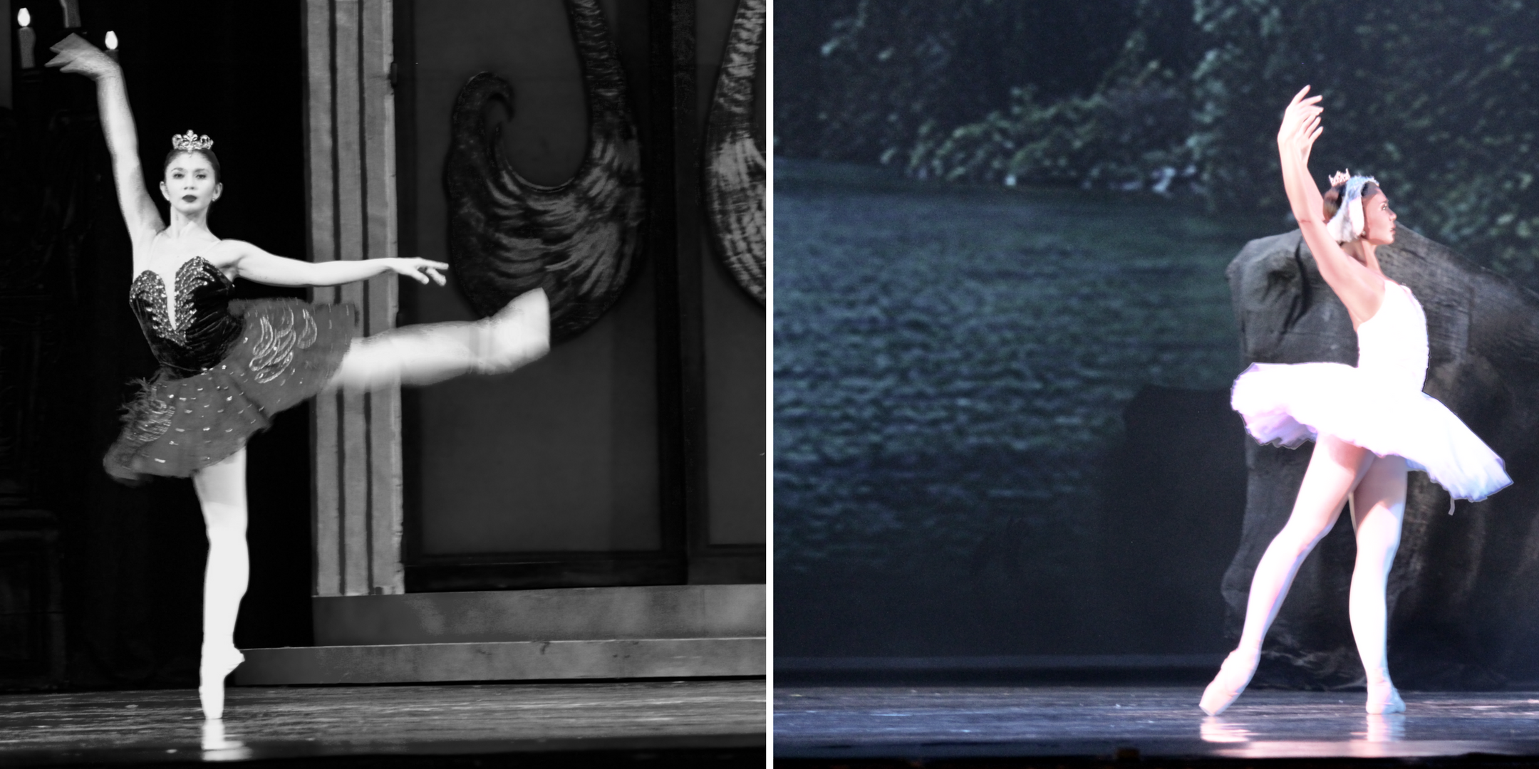 Swan-Lake-Ballet-Philippines.png