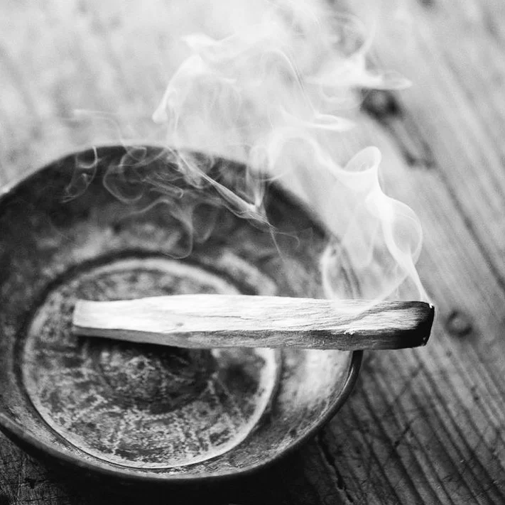 palo santo.jpeg