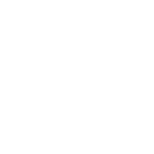 dash-hudson.png