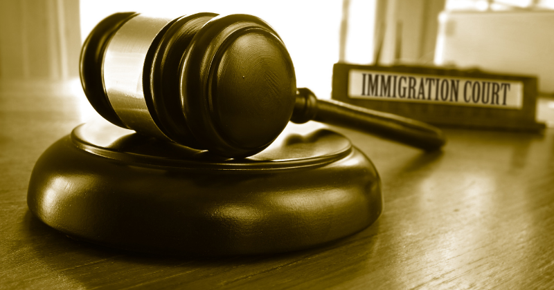 Bear Witness at Immigration Court