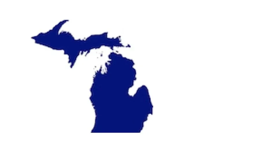 Canvassing in Michigan