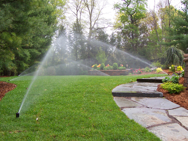 An-irrigation-system-installed-in-Macomb-Township.jpg