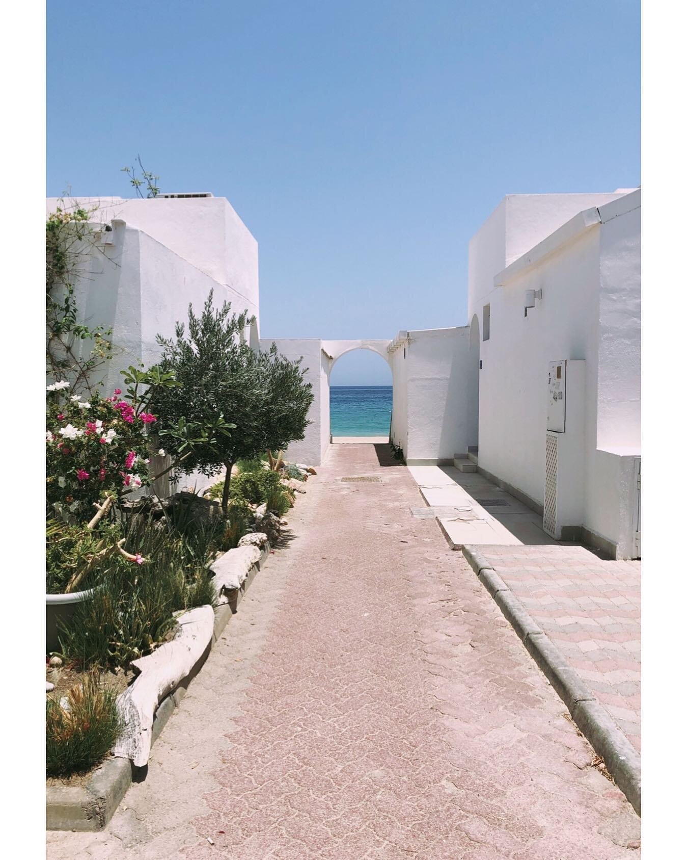 New neighborhood / new portals 🌊 🌺 
.
#changes #portals #neighborhood #albustan #beach #sea #oman #village #spring #muscat #garden