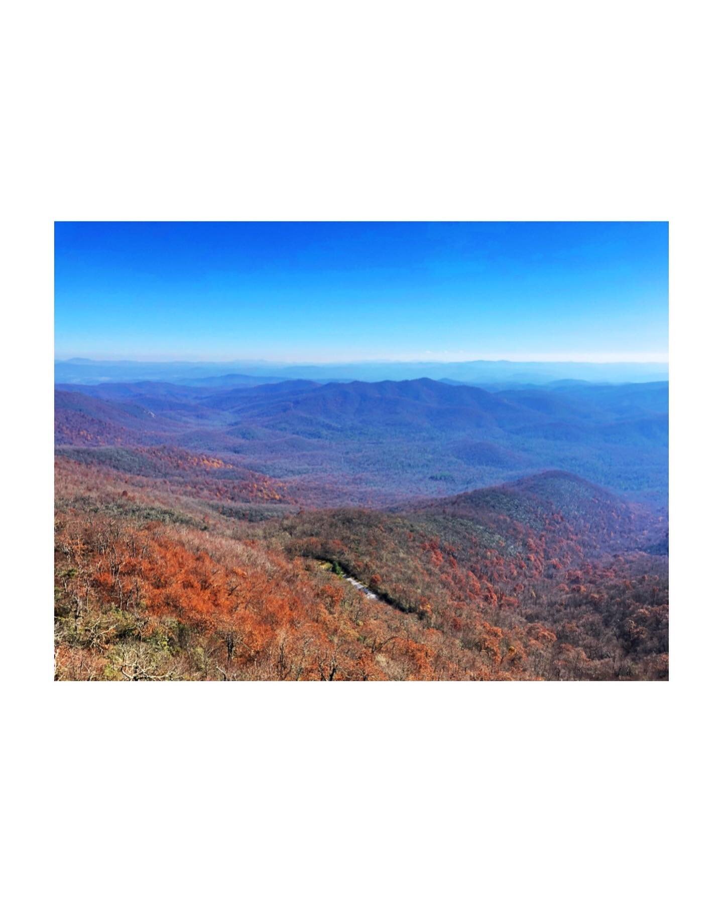 Blue Ridge Mountains 🧡 
.
#fall #blueridgemountains #northcarolina #hiking #blackbalsam #artleob #fryingpanmountainlookouttower #roadtrip #pisgahnationalforest #brevard #forestlove