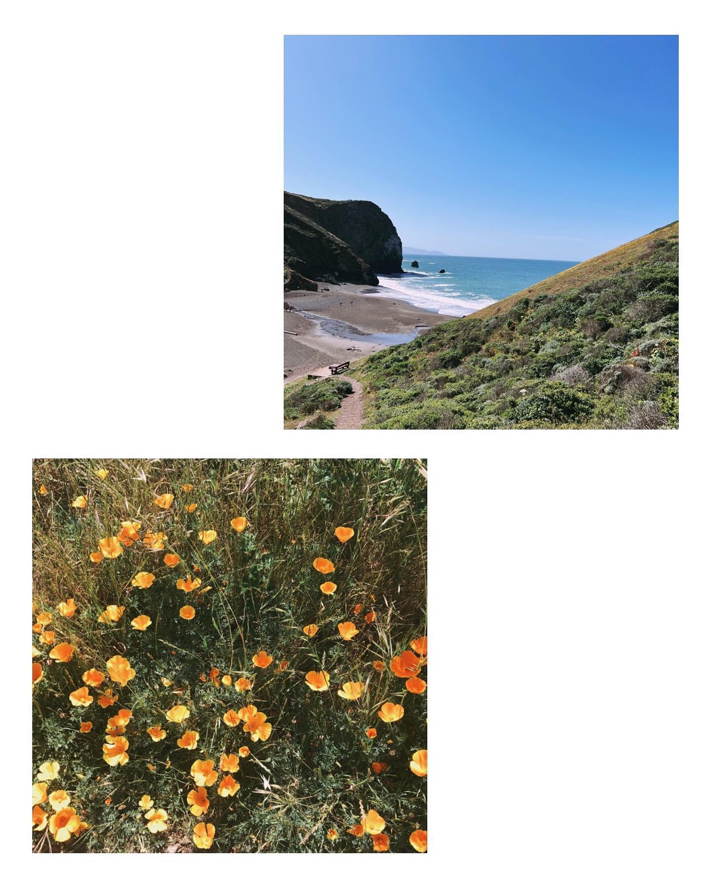 Holding reverence for the unceded lands of the Coast Miwok where I grew up and have returned to this spring. The possession of all lands began with the myth that humans are superior to nature, and that the colonizer is inherently more worthy of land 