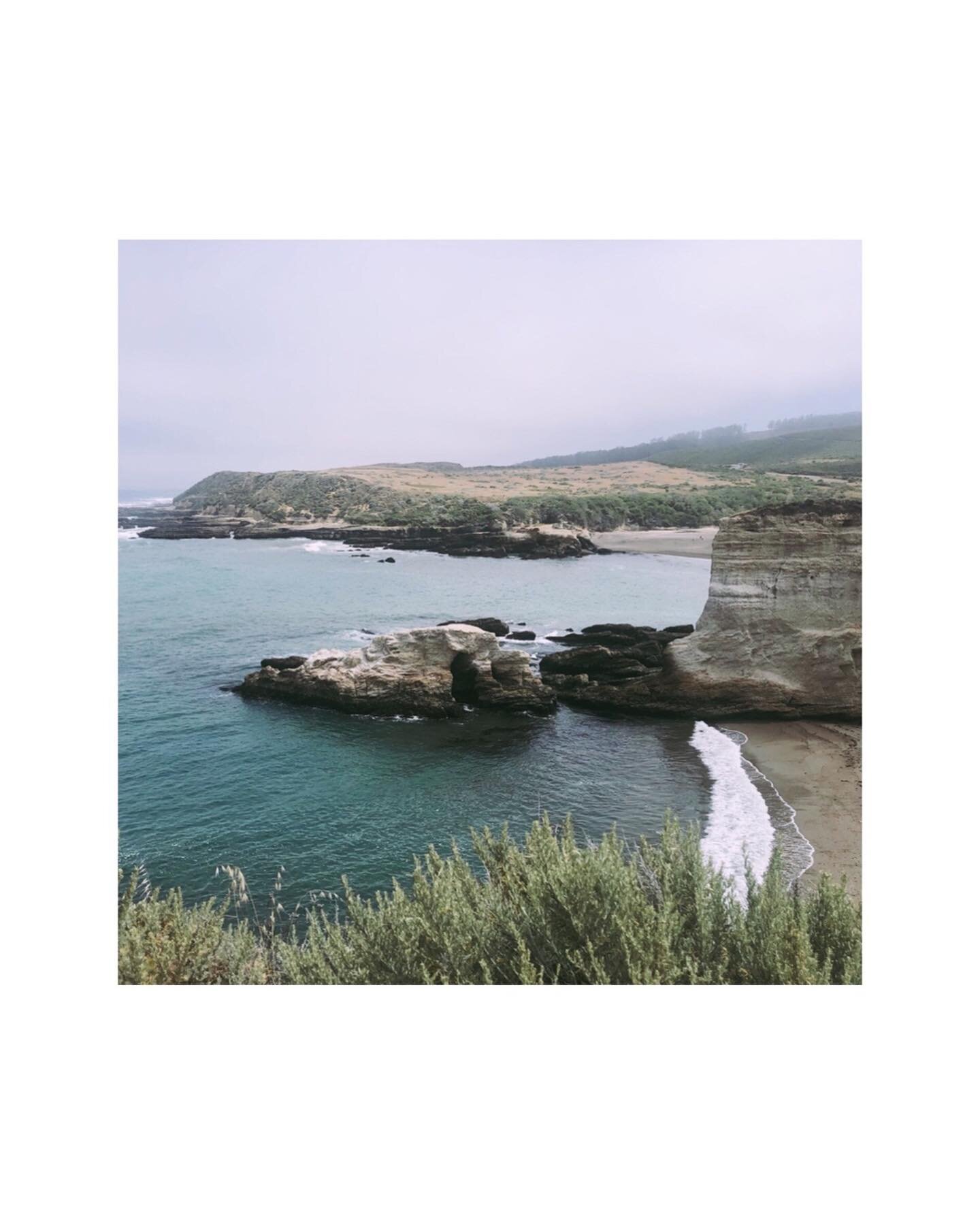 Monta&ntilde;a de Oro 🪸
.
.
.
#monta&ntilde;adeoro #slo #tidepools #pacificocean #roadtrip #hiking #sanluisobispo #geology #wild #nature #nativeland