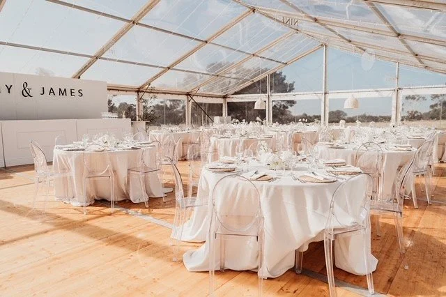 Our Wild Love Photography