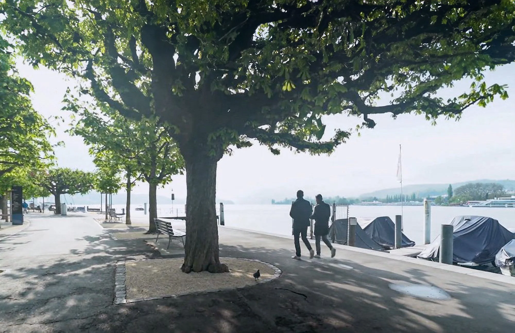 Zwei Personen spazieren auf einer von Bäumen gesäumten Promenade entlang eines Gewässers. Im Hintergrund sind Boote zu sehen, die mit Abdeckungen geschützt sind.