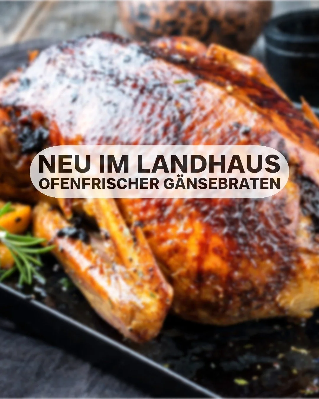 ✨ Neu im Landhaus: Ofenfrischer G&auml;nsebraten ✨

Ab Mitte November verw&ouml;hnen wir euch mit unserem ersten G&auml;nsebraten im Landhaus &ndash; knusprig, goldbraun aus dem Ofen und ein echter Genuss in der gem&uuml;tlichen Jahreszeit. 🍂

👉 Ga