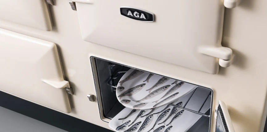 AGA-3-Series-170-Warming-plates-02.jpg