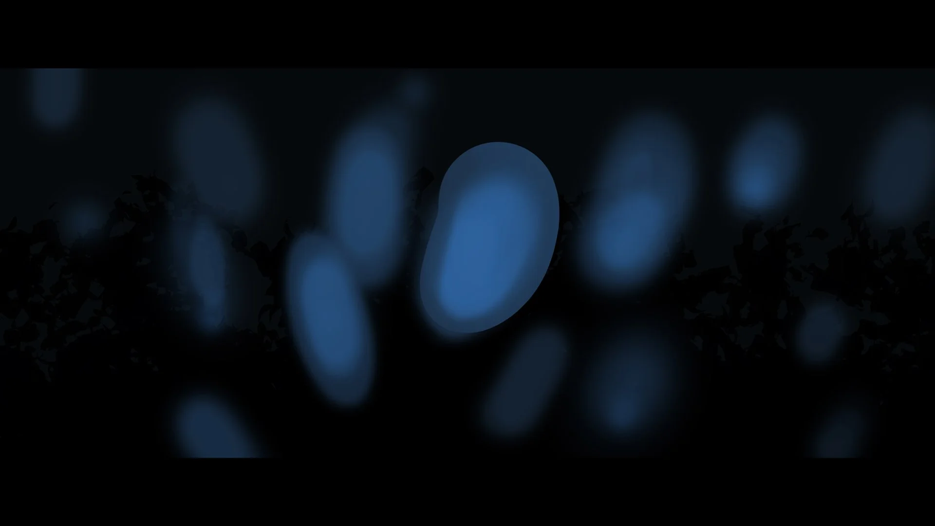 PLANETS_MACROS_BAKTERIUM_001 copy.jpg