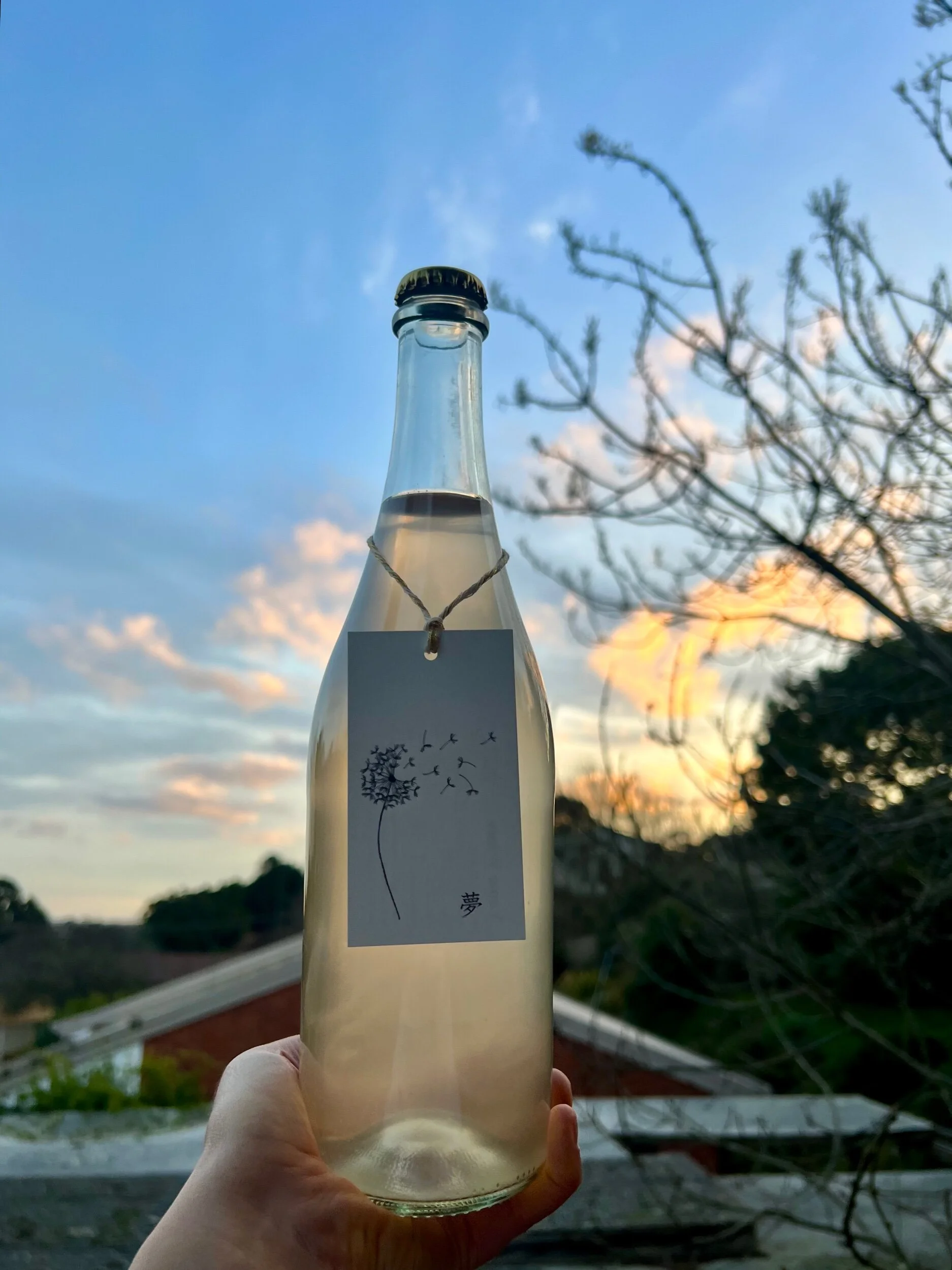 F1375890-1155-455E-ABF7-60B2F38AC012