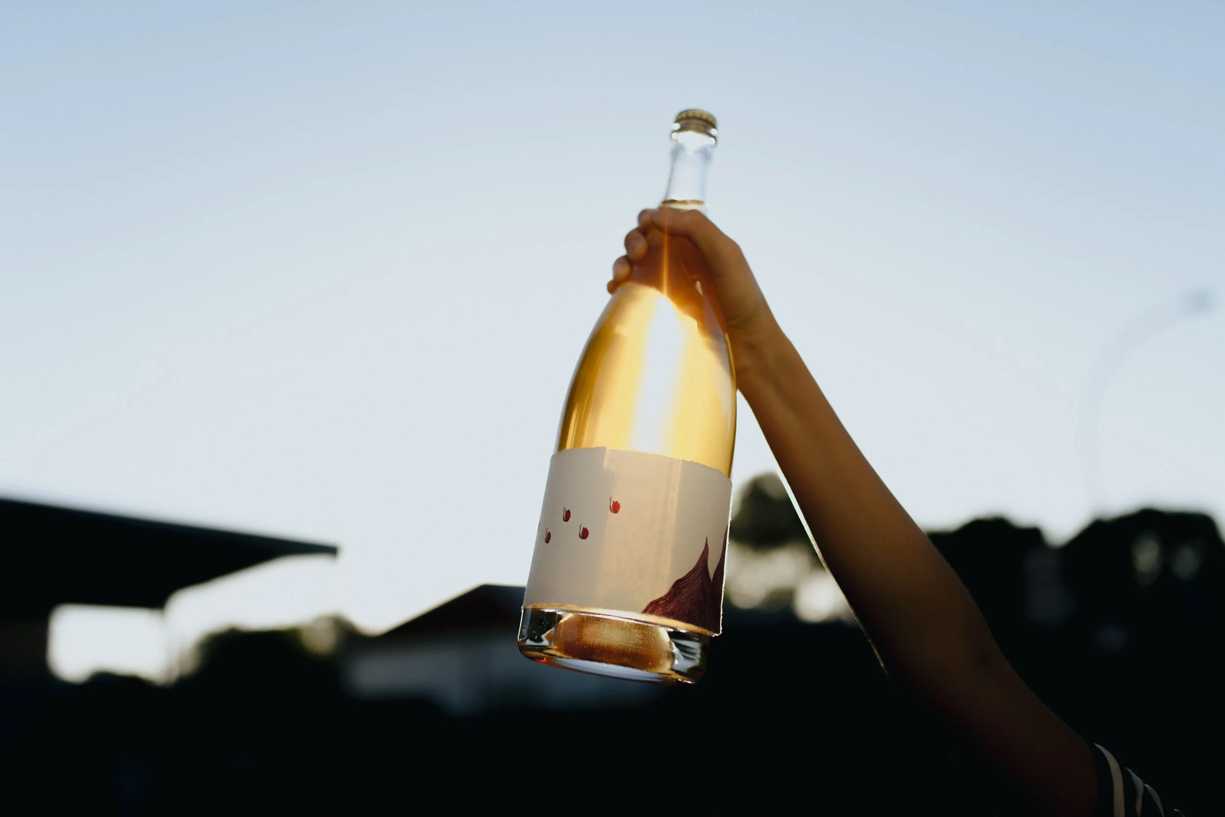 Wine and Cheese Fest 2024