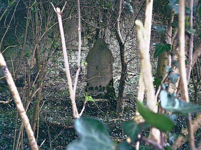 Watcher - Old Emlaghfad Church of Ireland, County Sligo

I spend a lot of time poking about creepy places. All ruins and graveyards hold a certain energy - in some it is wonderful - in others not so much. This picture was taken in an old overgrown ch