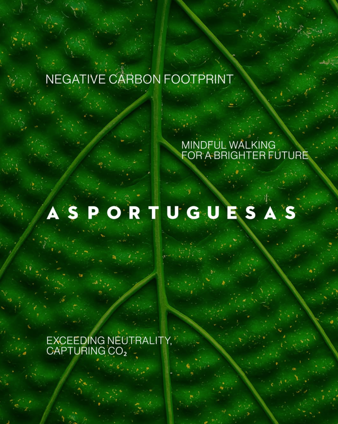 Skærmbillede 2026-01-20 kl. 11.32.05.png