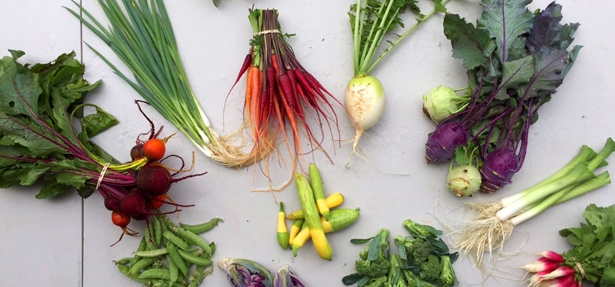 Have-Your-Garden-Banner_1.jpg