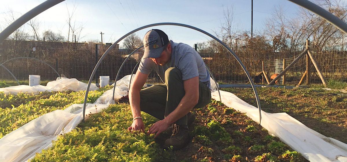 Chris-in-Garden_Banner_2.jpg