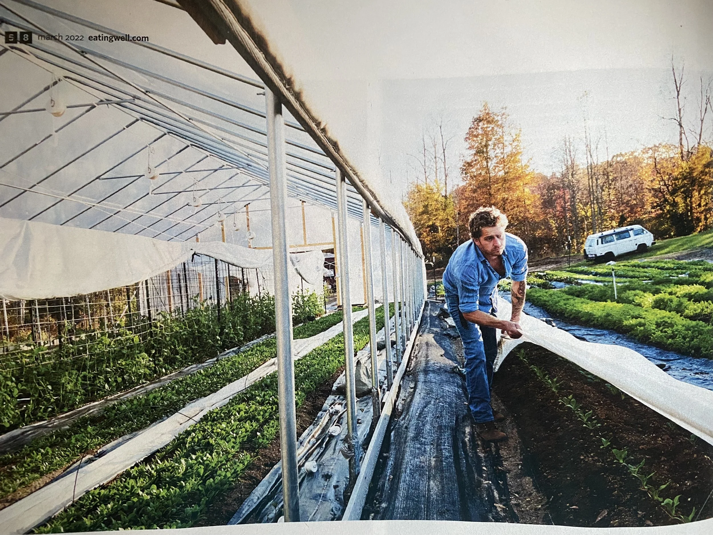 Greenville, SC, fall garden; Greenhouse growing; Horseshoe Farm; Travelers Rest, SC