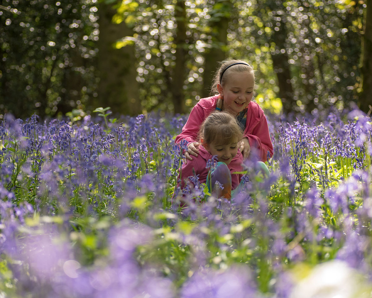It was lovely to see Jessica and her sister out, running around and enjoying the bluebell wood - they're such inquisitive young ladies!