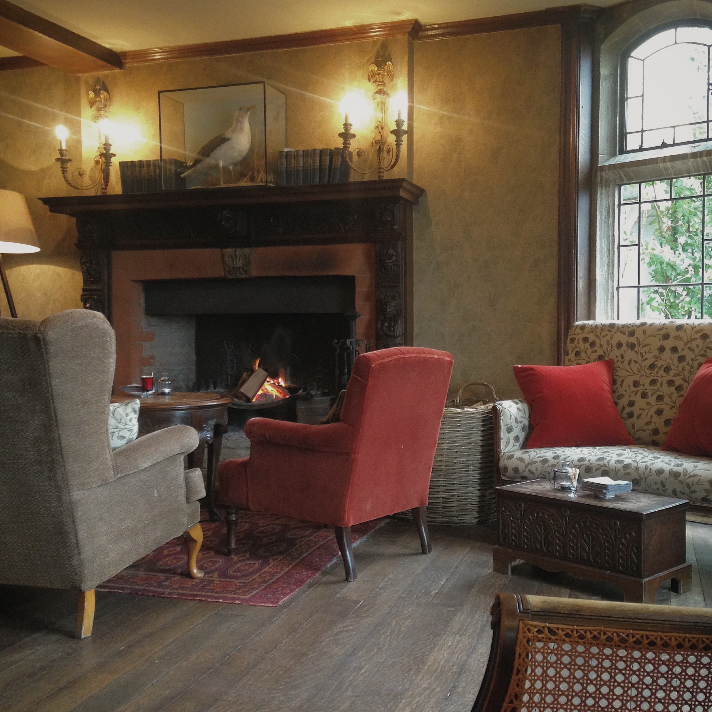 pig fireside .jpg