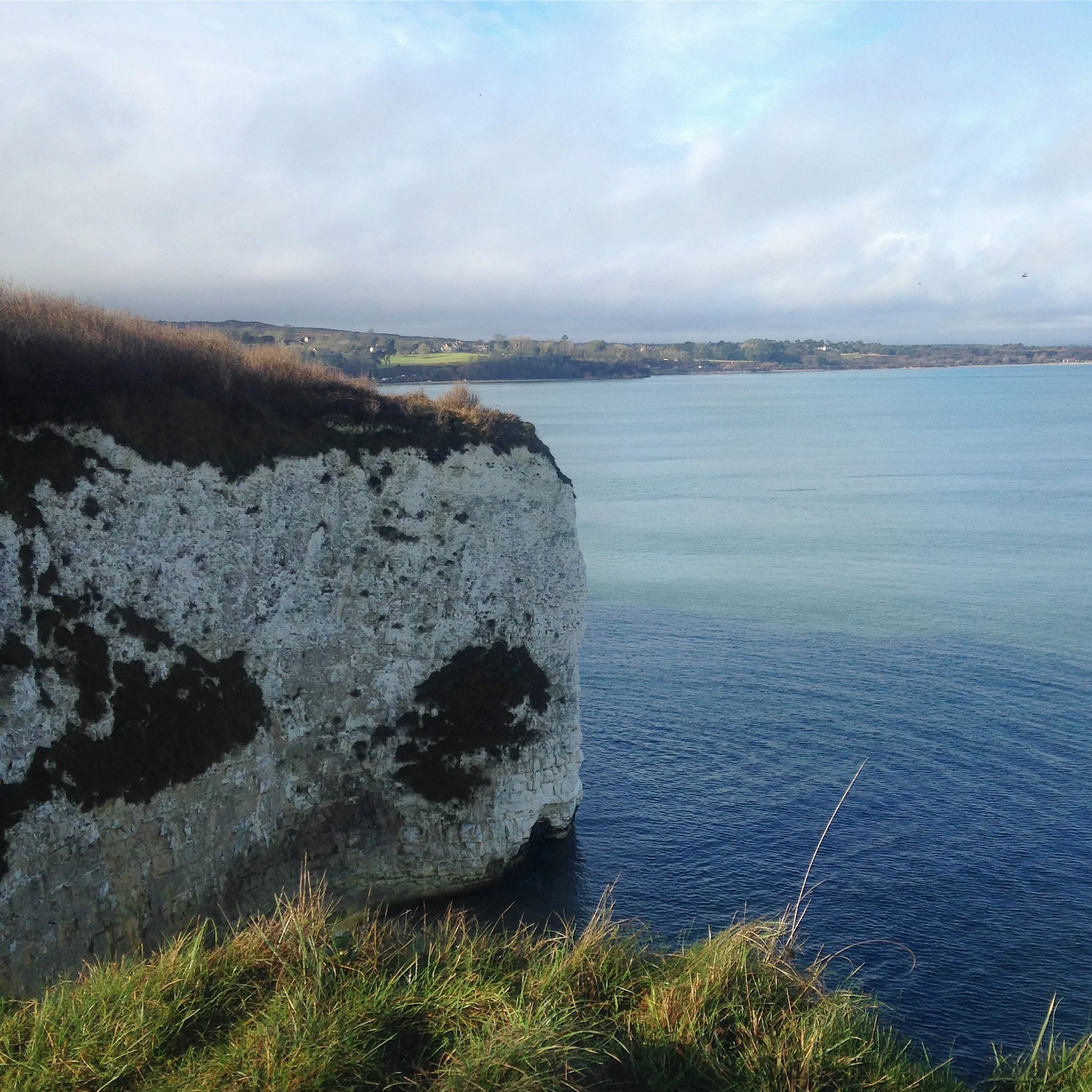 pig cliff.jpg