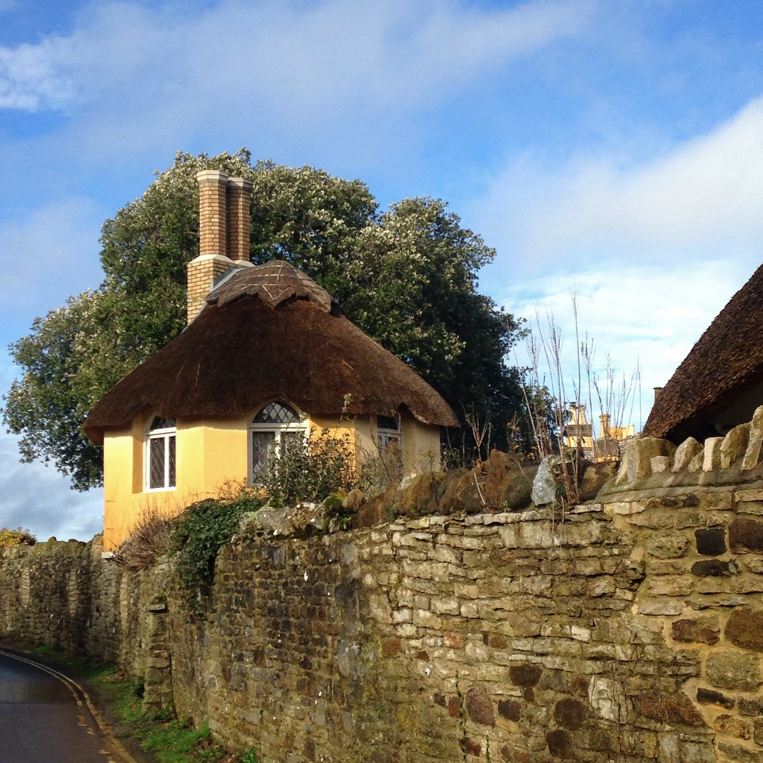 pig story book view.jpg