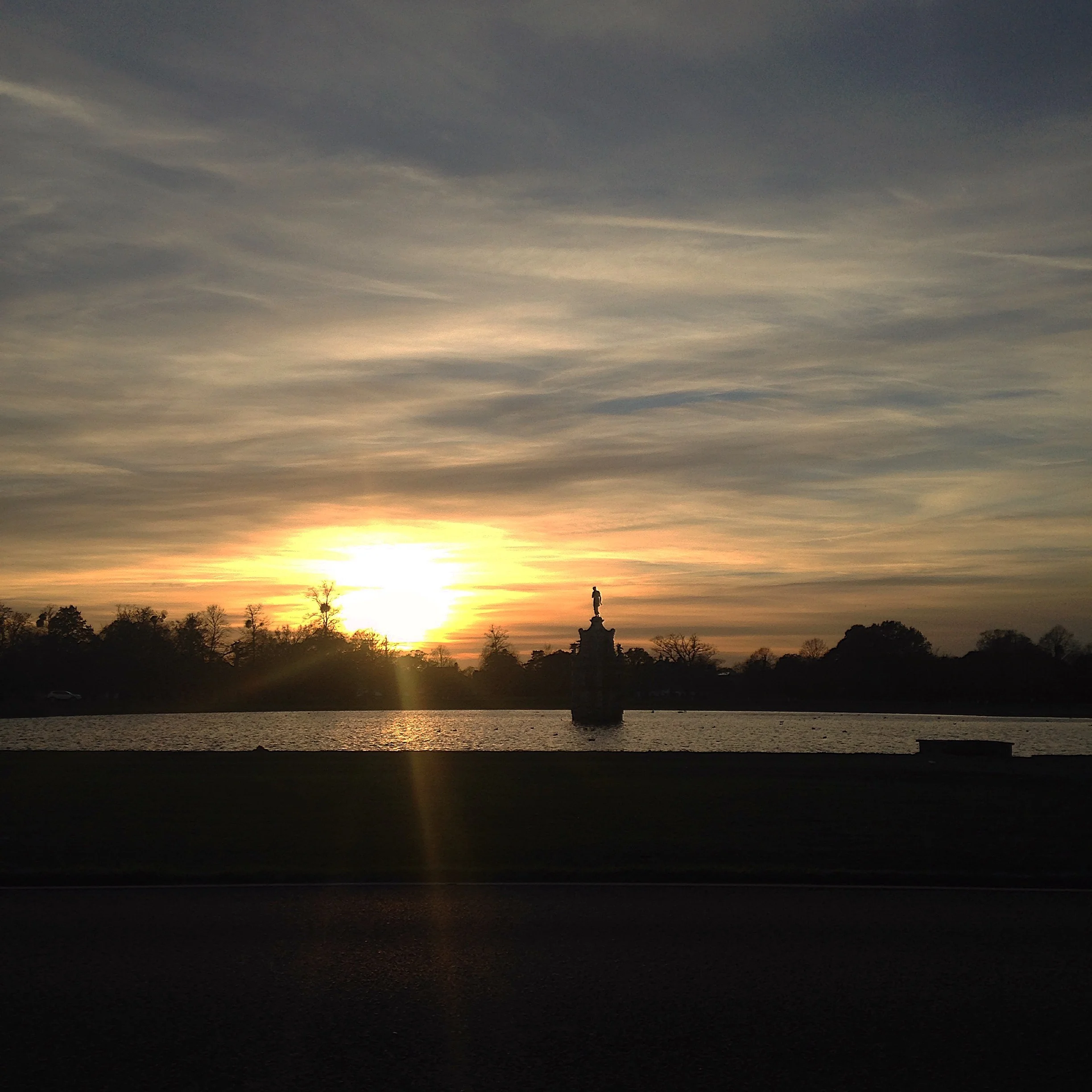 BUSHYPARK SUNSET.jpg