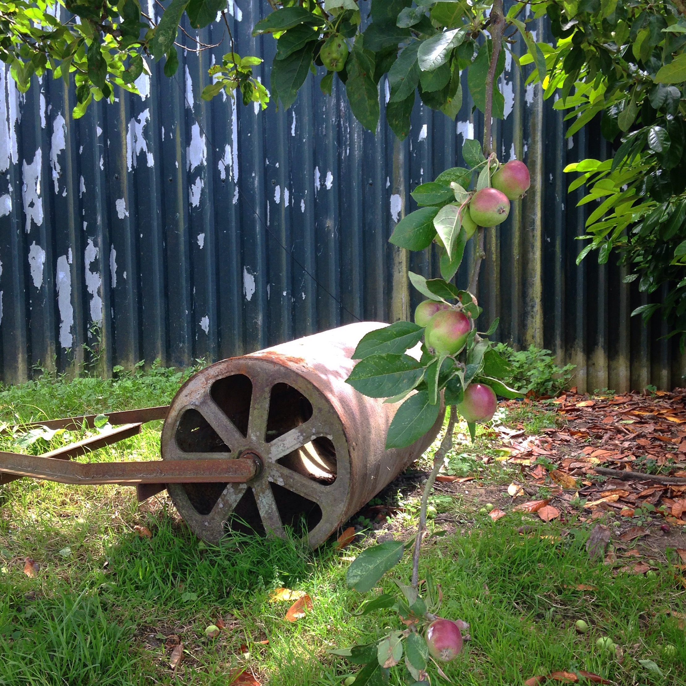 APPLE CART.jpg
