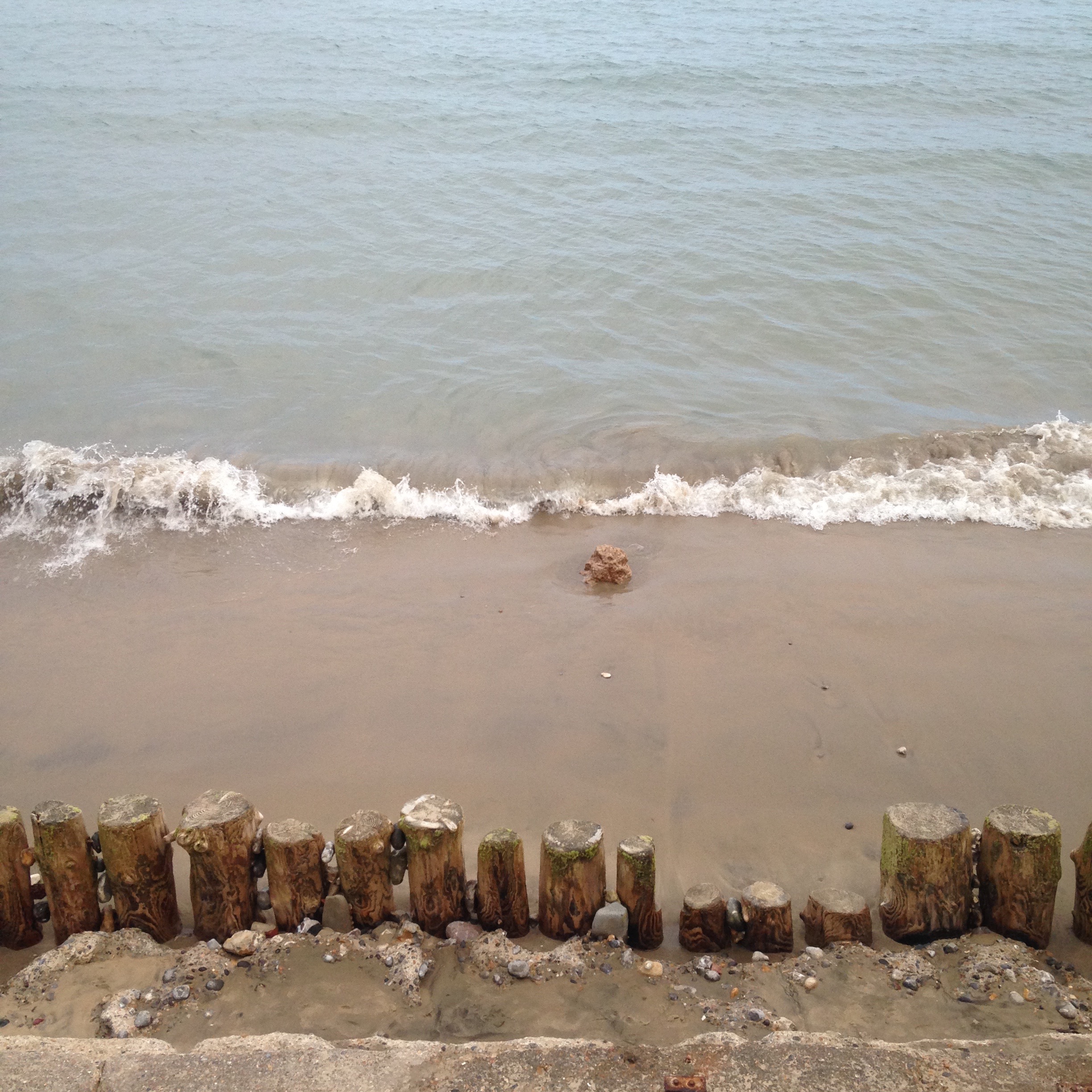 waves .jpg