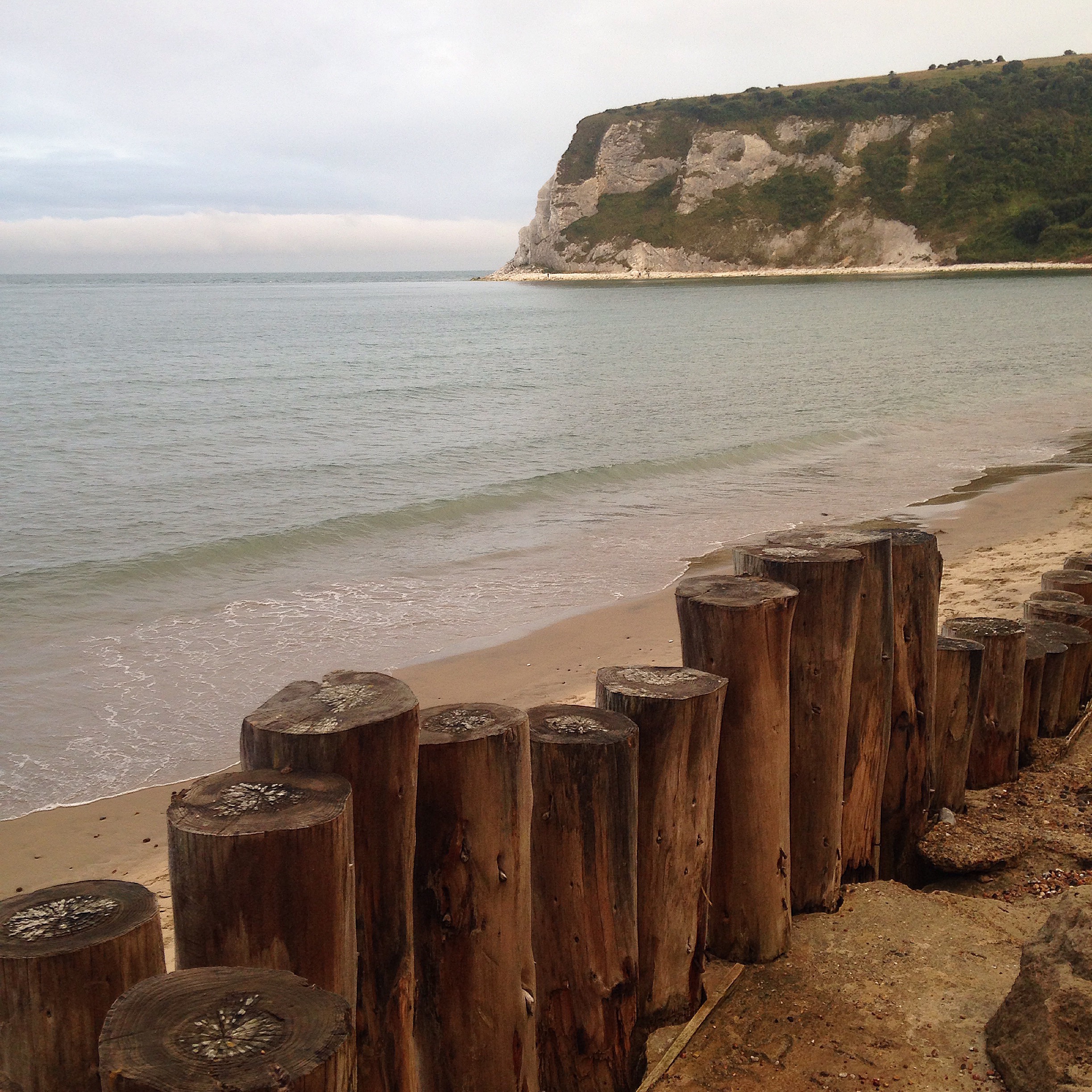 White Cliff Bay