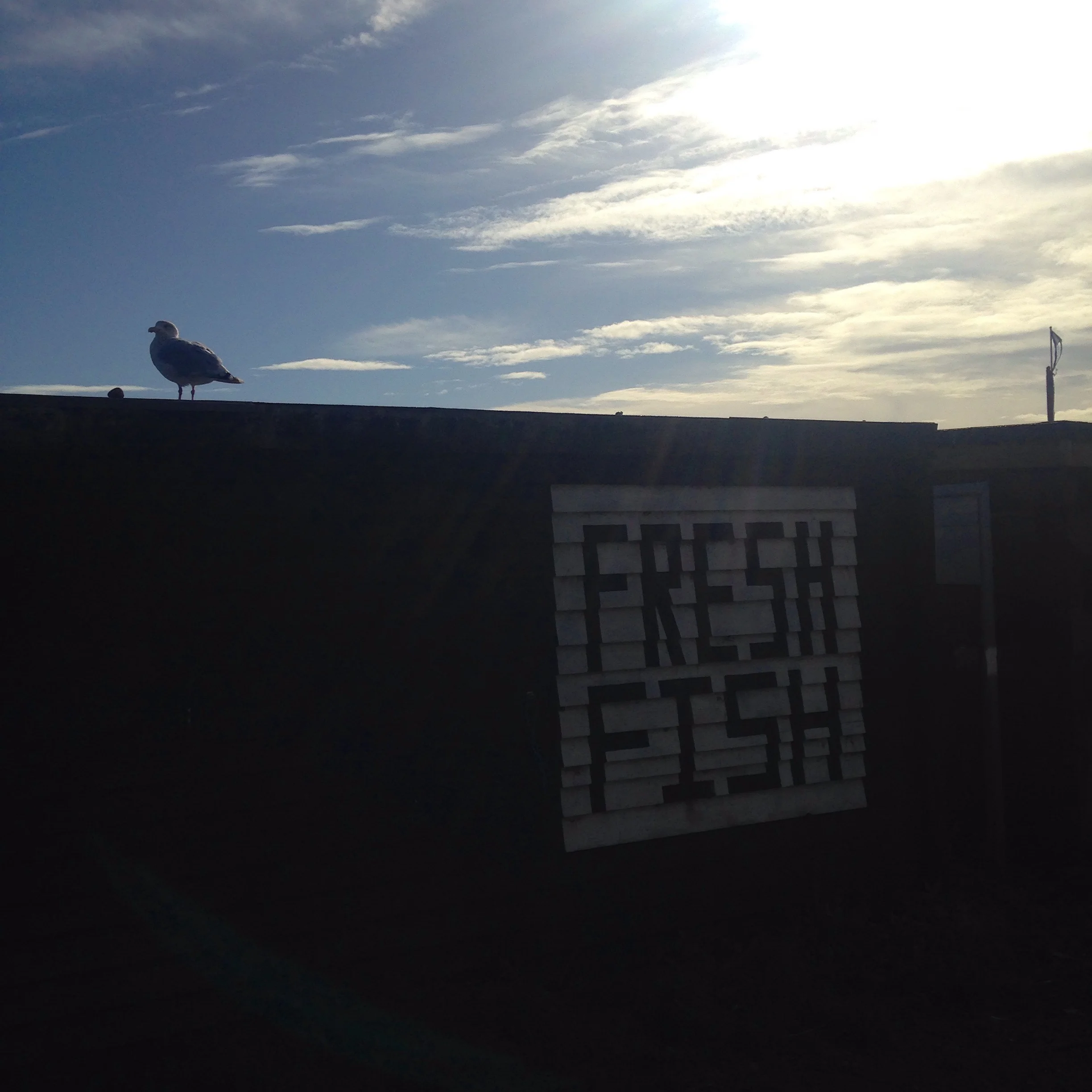 hastings fresh fish.jpg