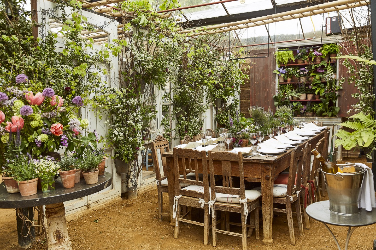 Image Credit: PetershamNurseries.com