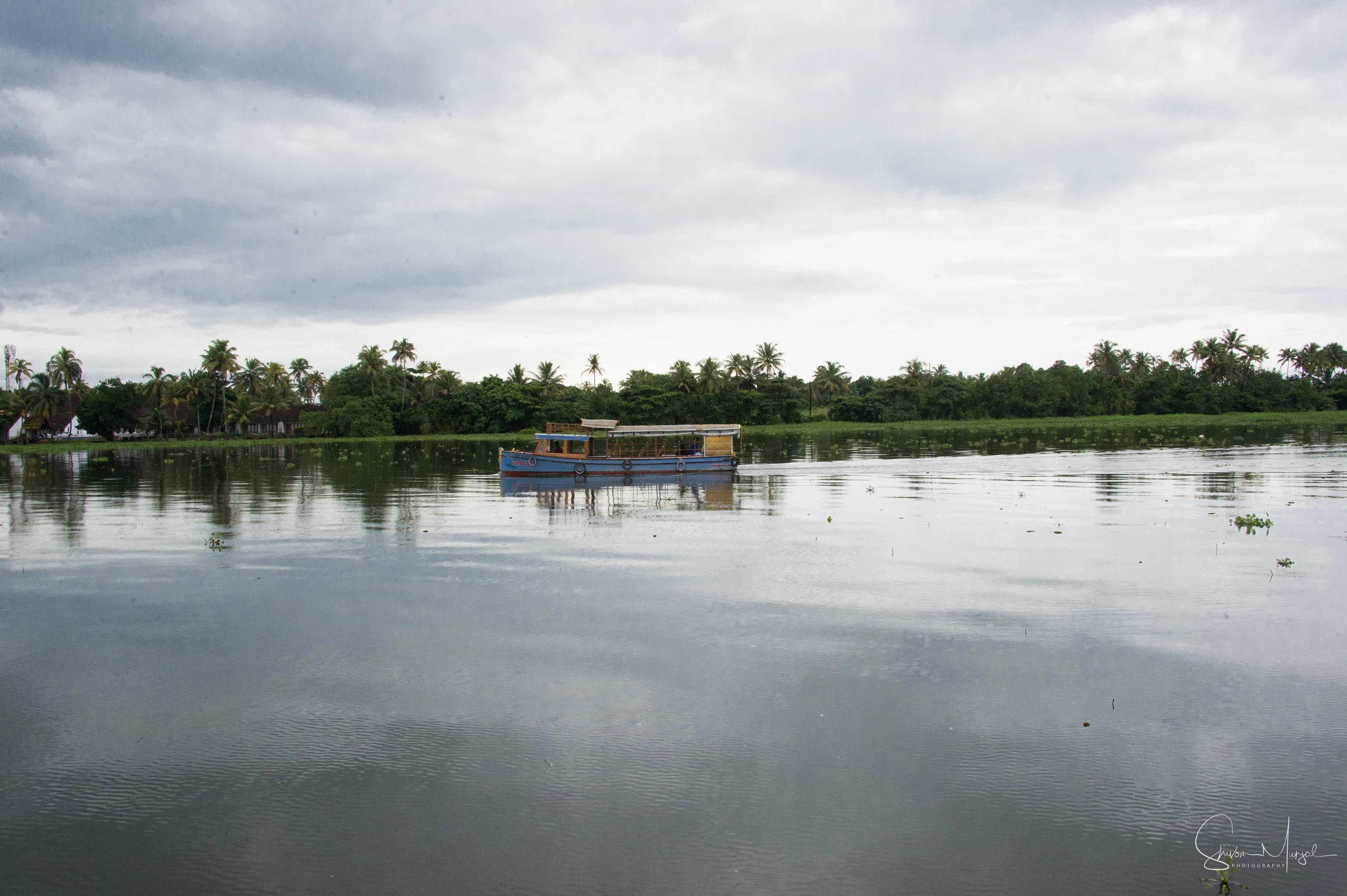 20170927-1002_Family Holiday_Kerala_Shivom-332.jpg
