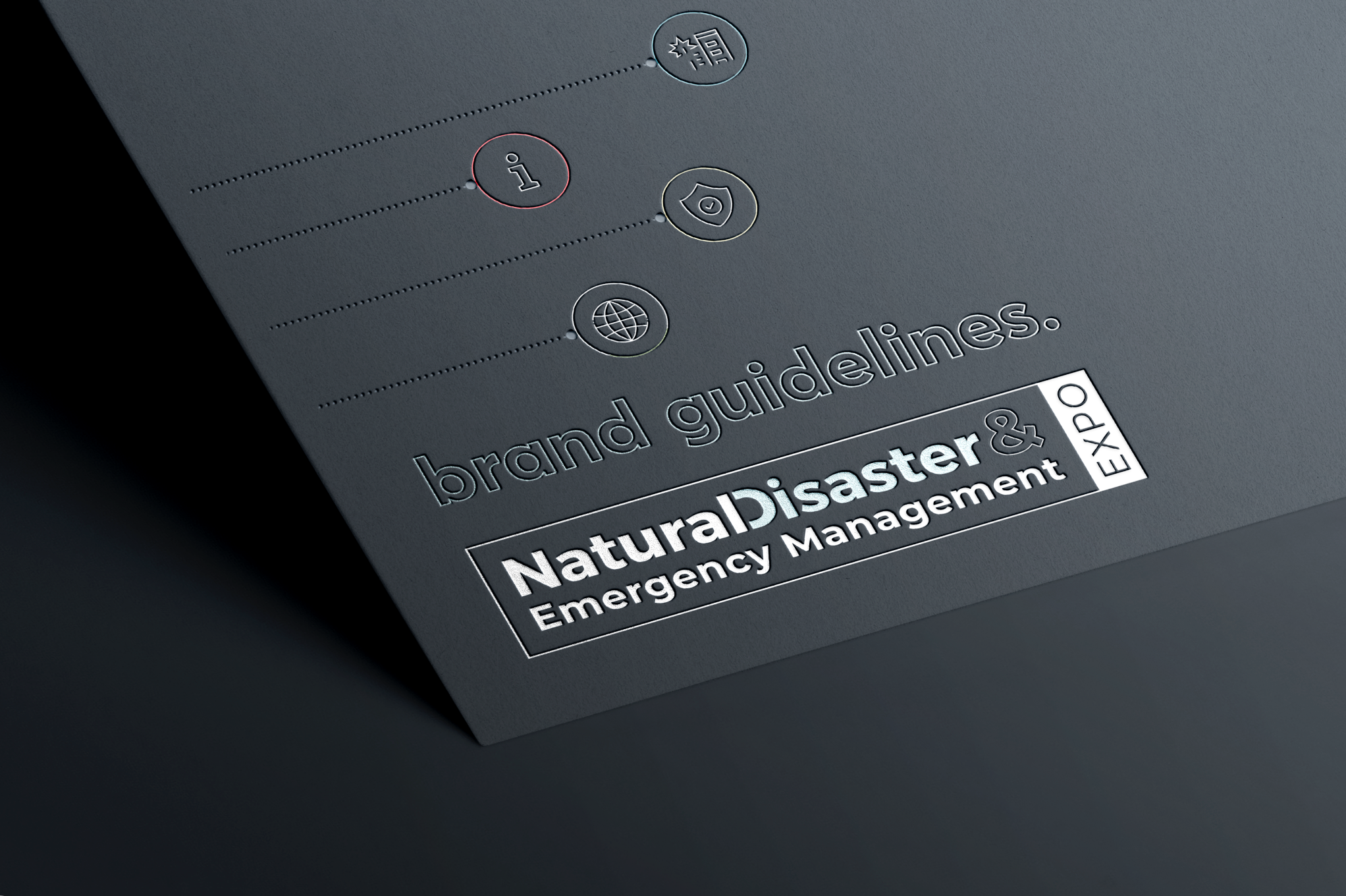 Natural Disasters Case Study &amp; Branding