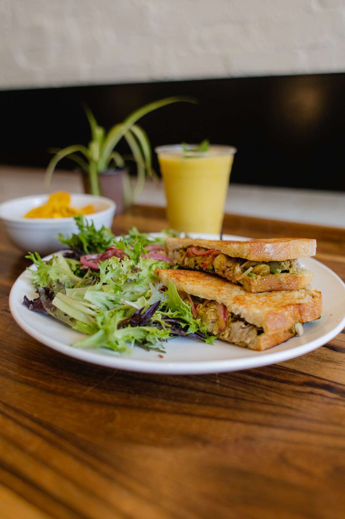  Vegan food vegan friendly jerk jack sandwich 