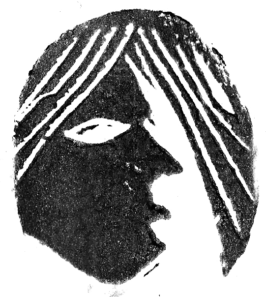 ty-williams-pd-28.png